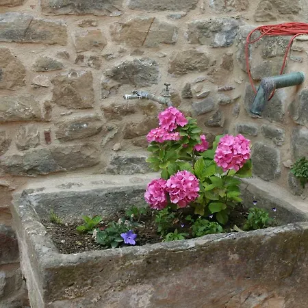 Country house Mas Tulsa Girona Riudellots de la Creu