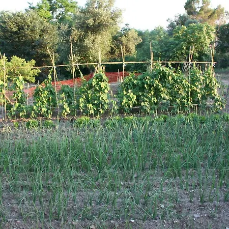 Mas Tulsa Girona * Riudellots de la Creu