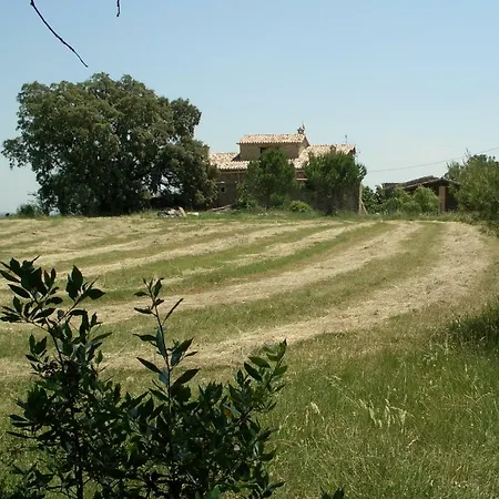 Mas Tulsa Girona *
